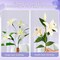 621PCS Nylon Stocking Flower Making Kit, Mixed Colors Nylon Stocking Fabric with Complete Materail, Tools and Step-by-Step Video for DIY Silk Flowers Arts and Crafts for Home Wedding Party Decoration